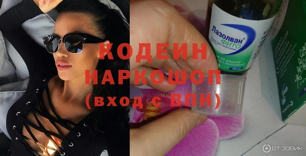 стаф Арсеньев