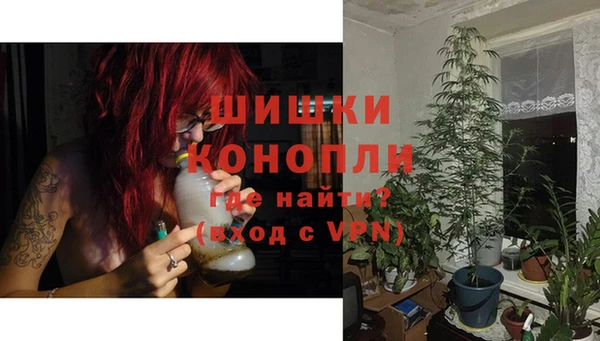 СК Аркадак