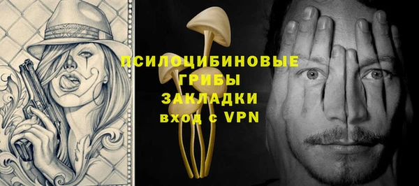 стаф Арсеньев