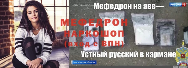 стаф Арсеньев