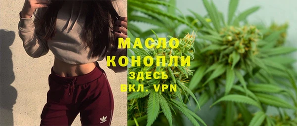 стаф Арсеньев